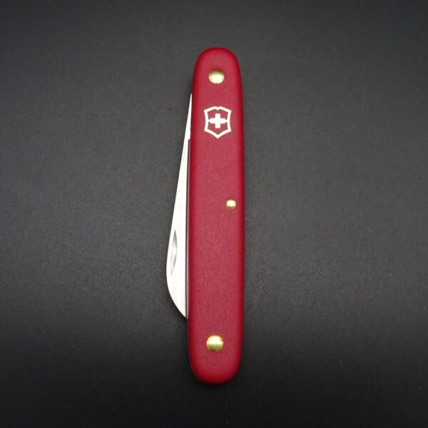 Victorinox Schweizer Taschenmesser gerade Klinge 5,5 cm rot